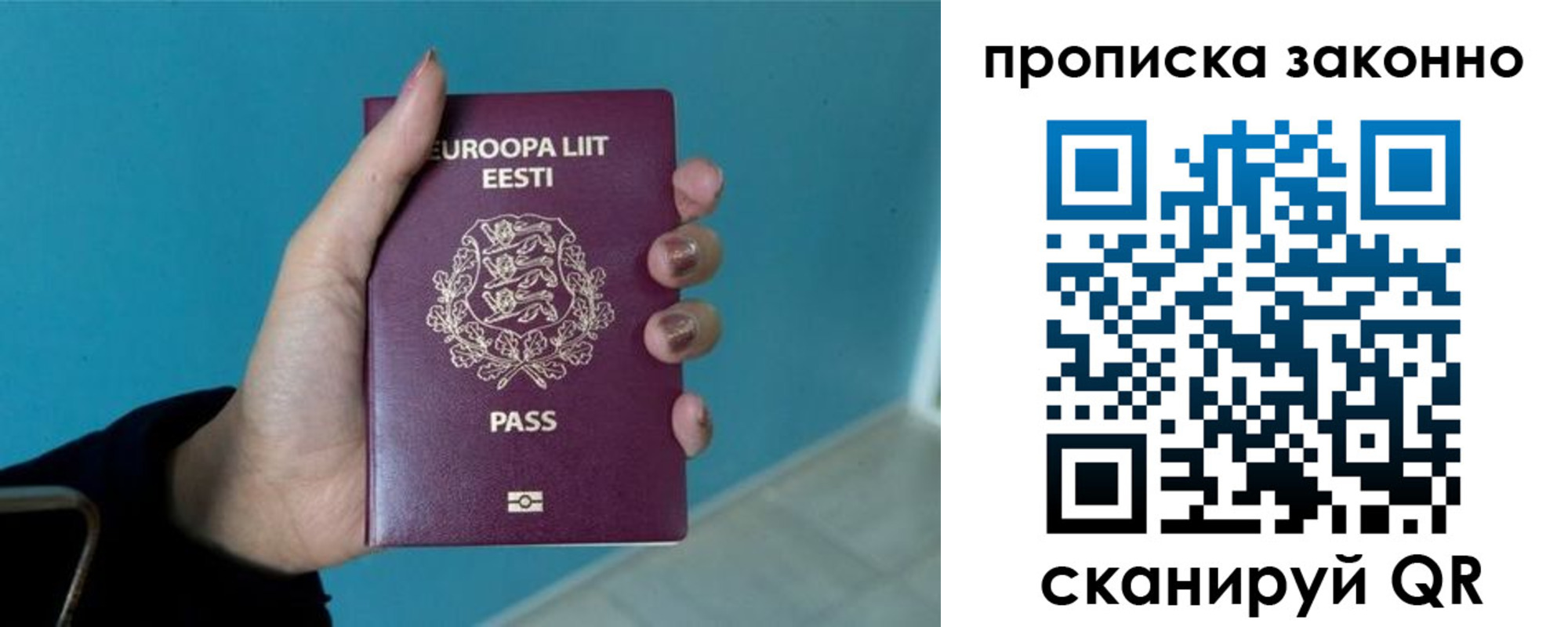 прописка гарантия в Вяземском
